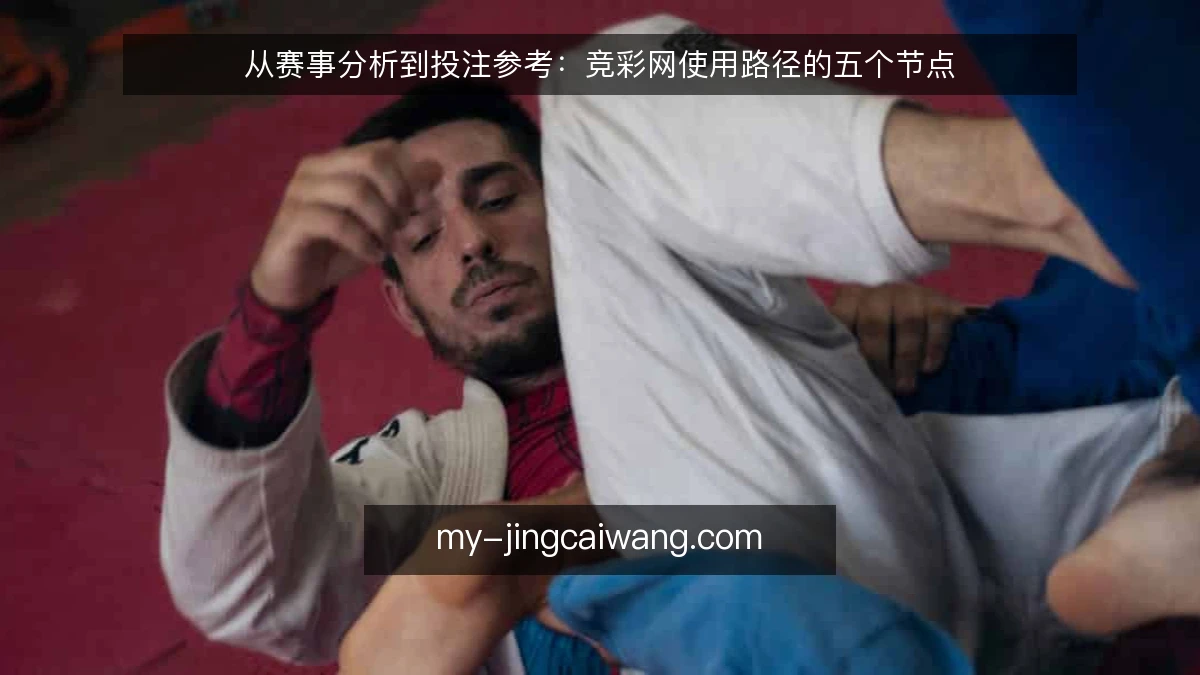 从赛事分析到投注参考：竞彩网使用路径的五个节点